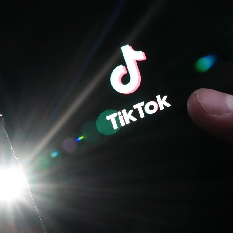 Ottawa's TikTok order sends mixed messages to users, experts say